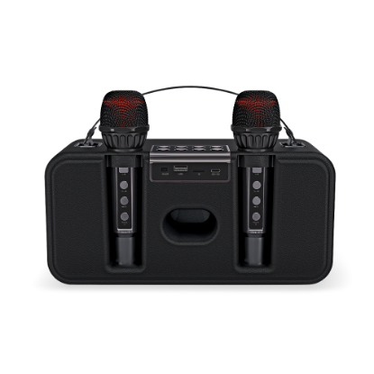 Picture of 2Mic-Karaoke