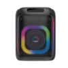 Picture of 2Mic-ThunderBox