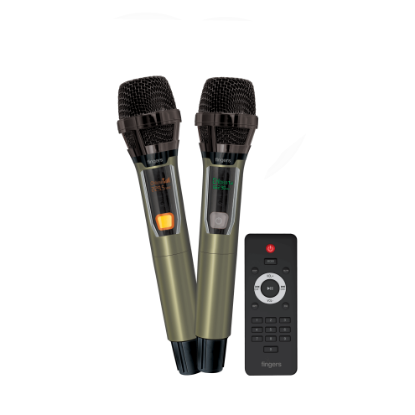 Picture of 2Mic-ThunderBox